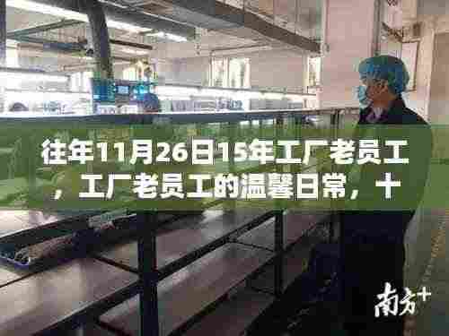 工厂老员工温馨日常,十一月二十六日的特殊记忆与感悟