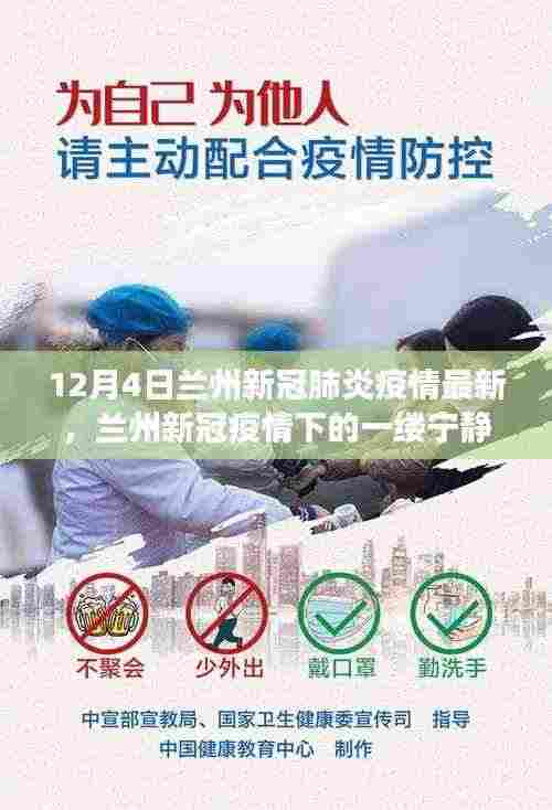 兰州新冠疫情下的宁静时光与美景之旅