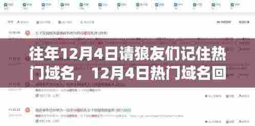 狼友回忆，12月4日热门域名碰撞记