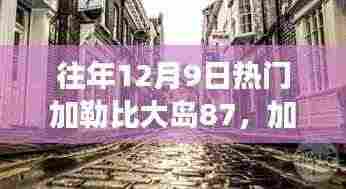往年12月9日热门加勒比大岛87,加勒比大岛秘巷中的隐藏瑰宝,一家特色小店的独特魅力之旅