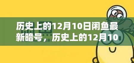 历史上的12月10日闲鱼最新暗号解析与产品评测介绍