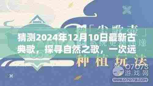 2024年古典新曲展望，自然之歌的心灵之旅，远离尘嚣的古典音乐猜想