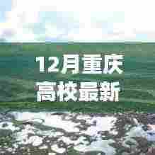 重庆高校学子们迎来12月新篇章,自然美景之旅启幕!