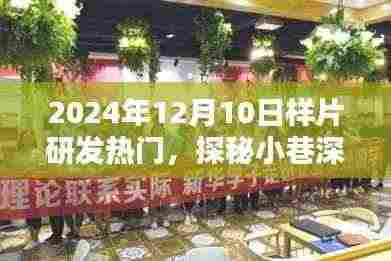 探秘时光巷,2024年样片研发新星在小巷深处的热门探秘