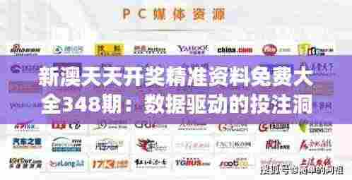 新澳天天开奖精准资料免费大全348期：数据驱动的投注洞见