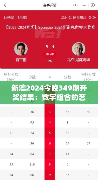 新澳2024今晚349期开奖结果:数字组合的艺术,谁能胜出?