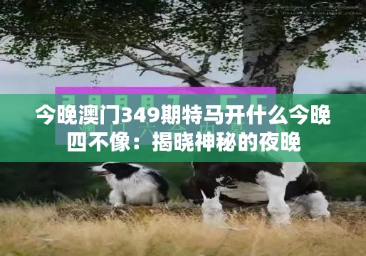 今晚澳门349期特马开什么今晚四不像:揭晓神秘的夜晚