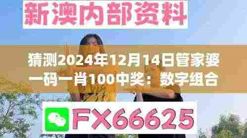 猜测2024年12月14日管家婆一码一肖100中奖:数字组合的微妙技巧