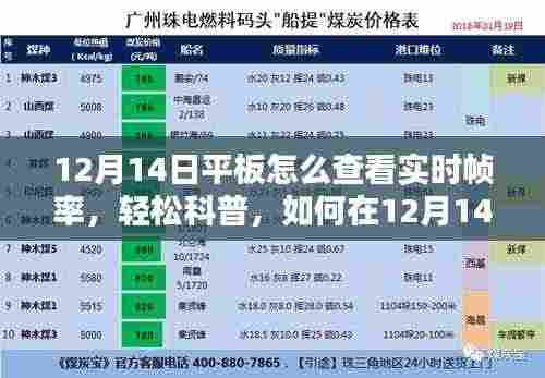 如何在平板上查看实时帧率，轻松科普指南（适用于12月14日）
