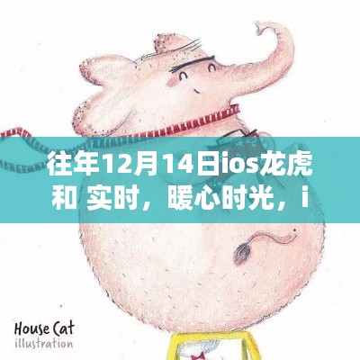 iOS龙虎斗与暖心时光,实时互动体验与温馨的陪伴