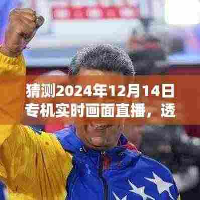 透视未来,解读专机实时画面直播的机遇与挑战,展望2024年直播新纪元