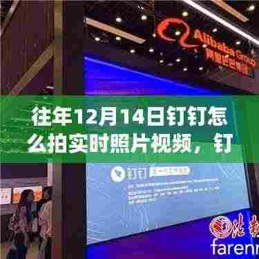 撺哄鸟乱 第5页