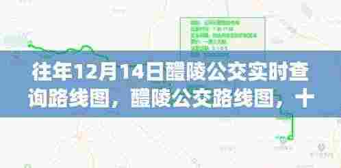 往年12月14日醴陵公交路线变迁及其影响与实时查询路线图