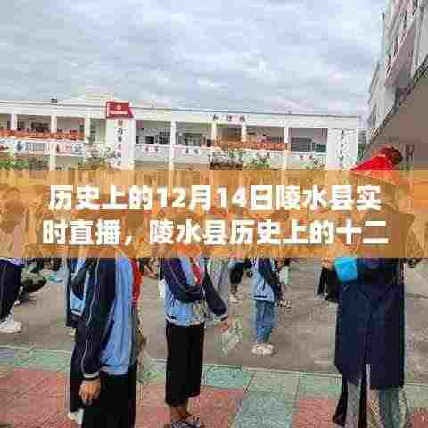 陵水县历史直播日,穿越时空的十二月十四日实时直播纪实