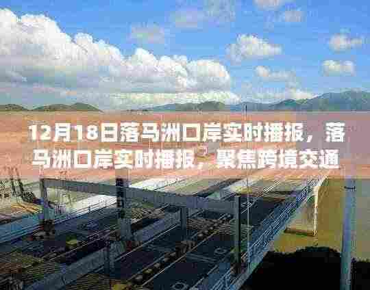 落马洲口岸最新实时播报,跨境交通与区域发展深度解析