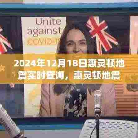 惠灵顿地震中的温情与冒险，一场突如其来的友情之旅（实时查询）