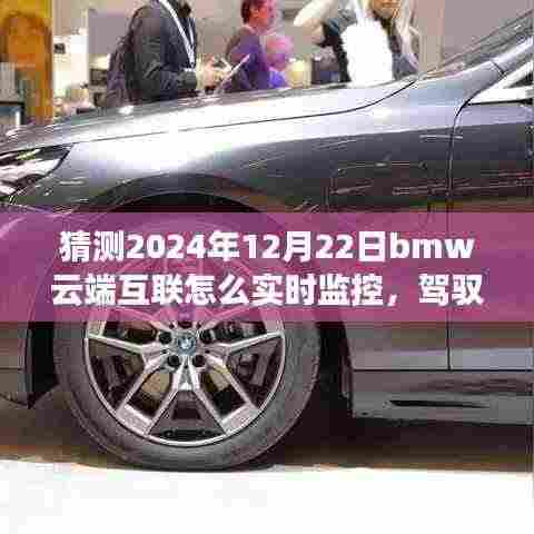 BMW云端互联进化之路,实时监控车辆状态,驾驭未来的成长之旅(预测至2024年12月)