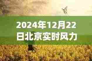 北京之风,探寻内心平静的旅程——2024年12月22日北京实时风力报告