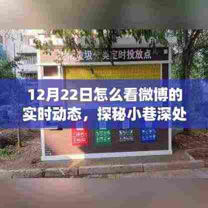探秘微博实时风尚馆,小巷深处的隐藏版特色小店带你领略实时动态魅力之旅