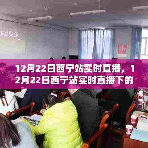 12月22日西宁站实时直播,多元观点的探析