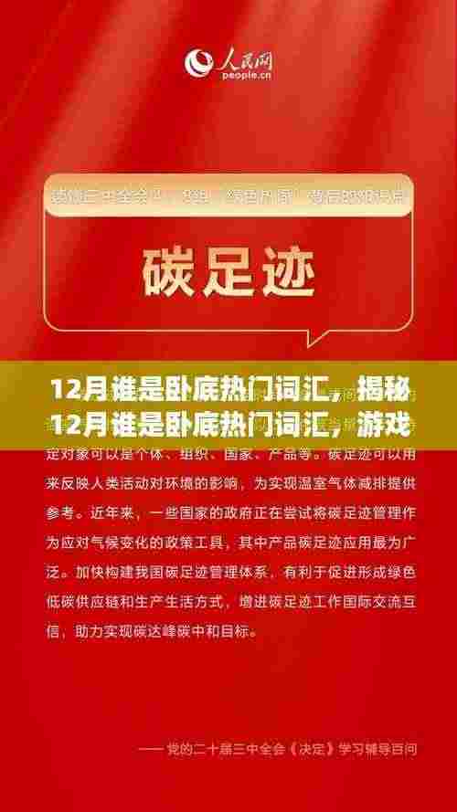 揭秘十二月卧底游戏热门词汇，语言魅力的背后