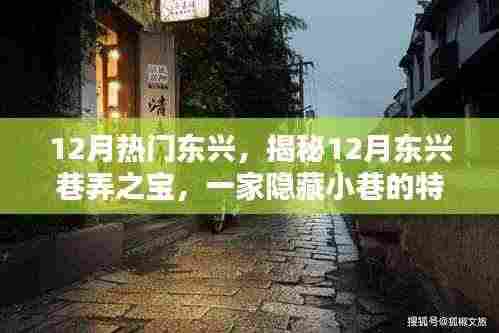 揭秘东兴巷弄之宝,12月隐藏小巷的特色小店探索之旅