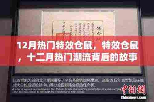 揭秘十二月热门特效仓鼠背后的故事