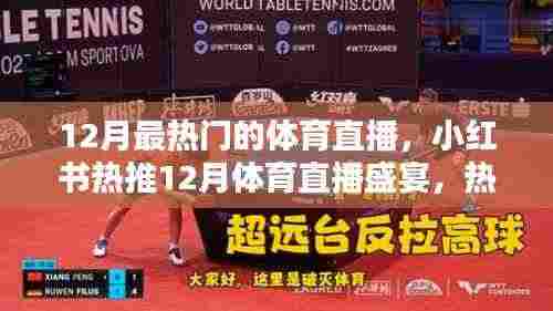 小红书热推!12月体育直播盛宴狂欢夜