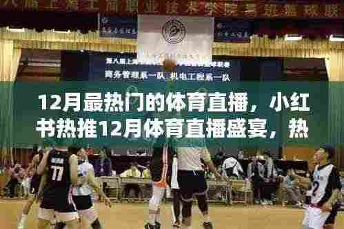小红书热推!12月体育直播盛宴狂欢夜
