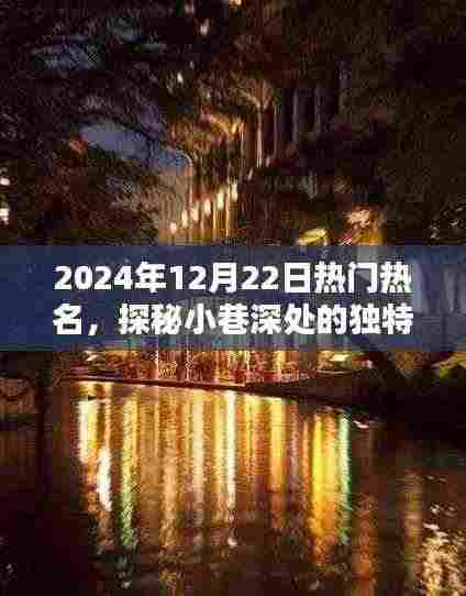 探秘小巷深处的独特风味,一家隐藏于喧嚣中的特色小店在2024年12月22日的热门热潮