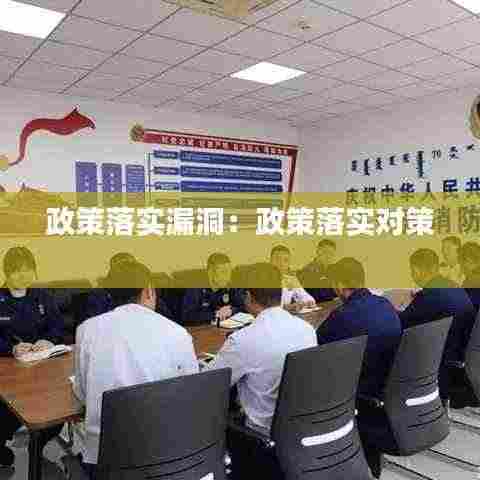 政策落实漏洞:政策落实对策