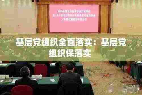 基层党组织全面落实:基层党组织保落实