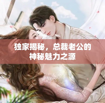 独家揭秘,总裁老公的神秘魅力之源