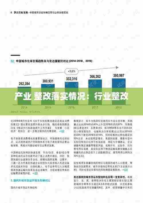 产业 整改落实情况:行业整改