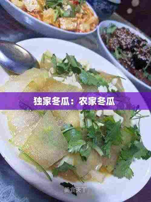 独家冬瓜：农家冬瓜 