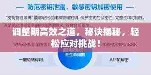 调整期高效之道,秘诀揭秘,轻松应对挑战!