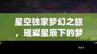 星空独家梦幻之旅,璀璨星辰下的梦幻盛宴