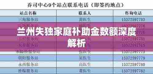 兰州失独家庭补助金数额深度解析