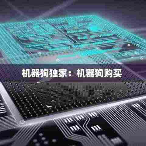 机器狗独家:机器狗购买