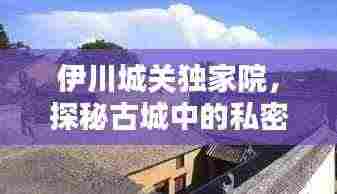 伊川城关独家院，探秘古城中的私密宅邸