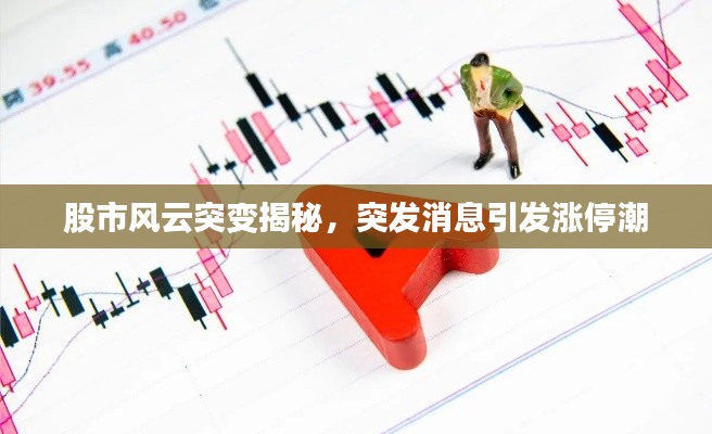 股市风云突变揭秘,突发消息引发涨停潮
