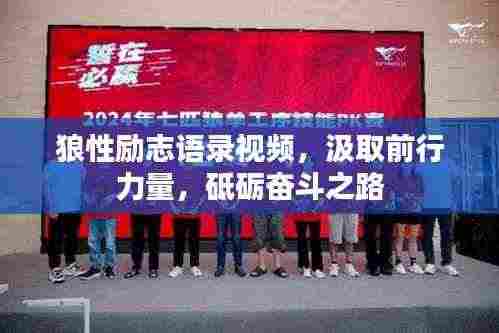 狼性励志语录视频,汲取前行力量,砥砺奋斗之路
