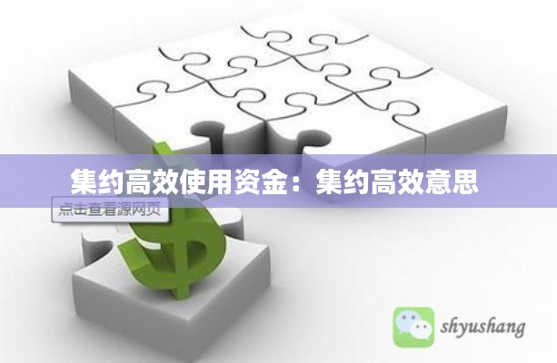 集约高效使用资金:集约高效意思