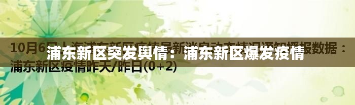 浦东新区突发舆情:浦东新区爆发疫情