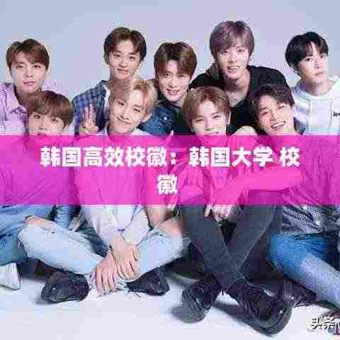 韩国高效校徽:韩国大学 校徽