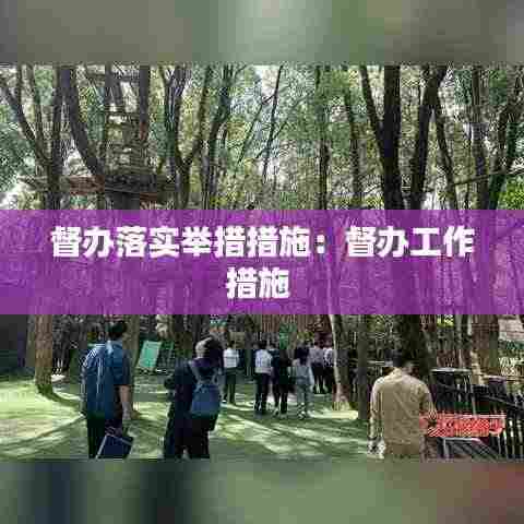 督办落实举措措施:督办工作措施