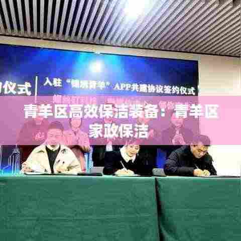 青羊区高效保洁装备:青羊区家政保洁