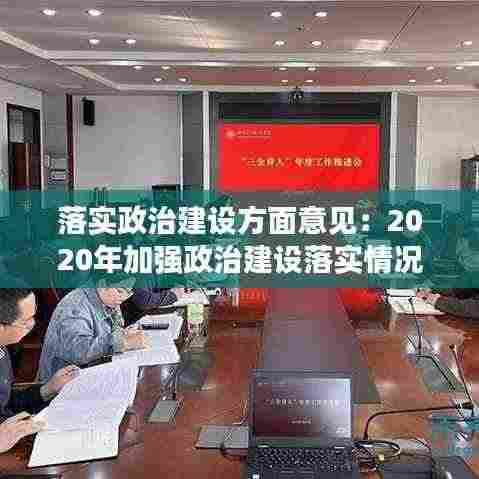 落实政治建设方面意见：2020年加强政治建设落实情况 