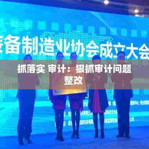 抓落实 审计:狠抓审计问题整改