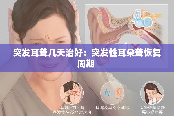 突发耳聋几天治好:突发性耳朵聋恢复周期